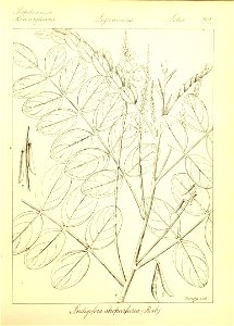 n95_w1150