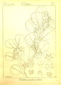 n108_w1150