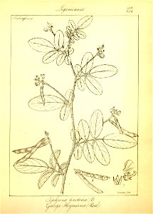 n114_w1150