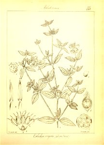 n102_w1150