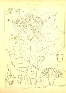n89_w1150