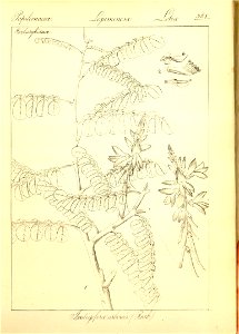 n94_w1150