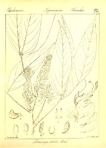 n55_w1150