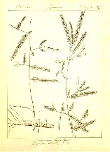 n131_w1150
