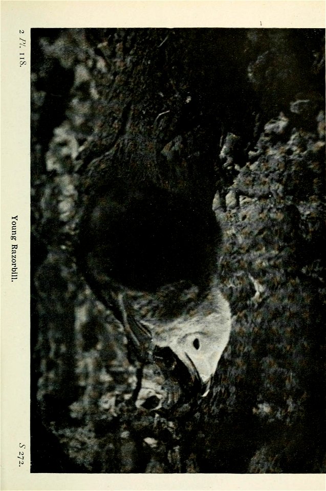 n402_w1150