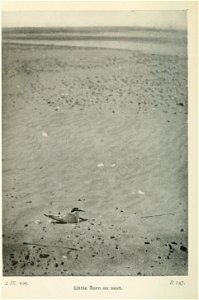 n367_w1150