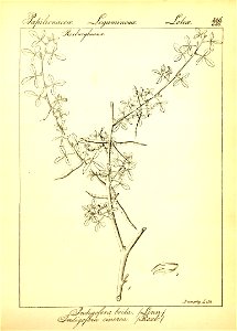 n112_w1150