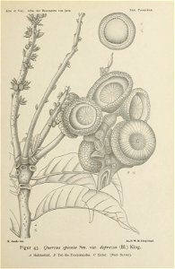 n112_w1150