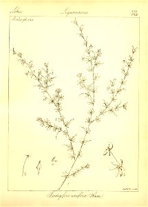 n59_w1150