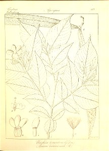 n169_w1150