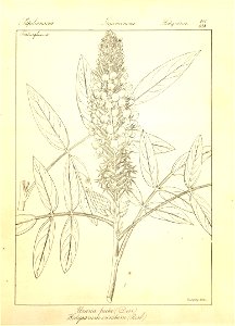 n137_w1150