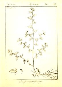 n129_w1150