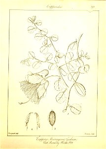 n105_w1150