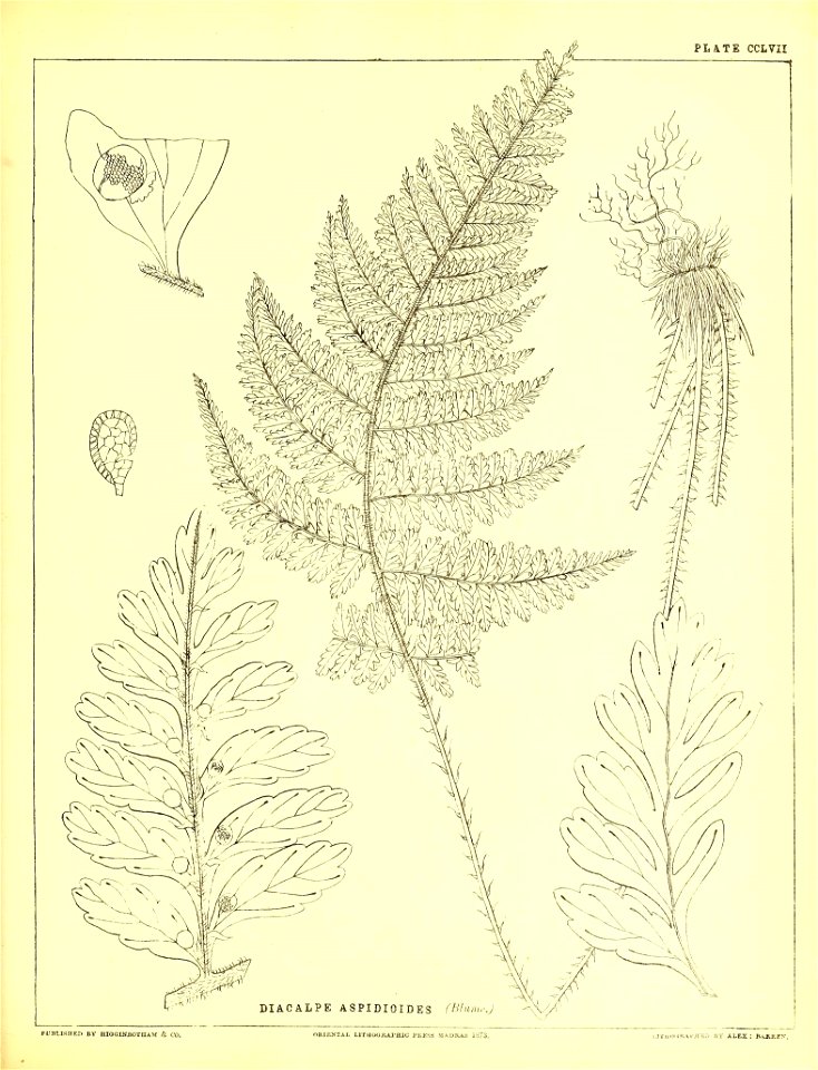 n628_w1150