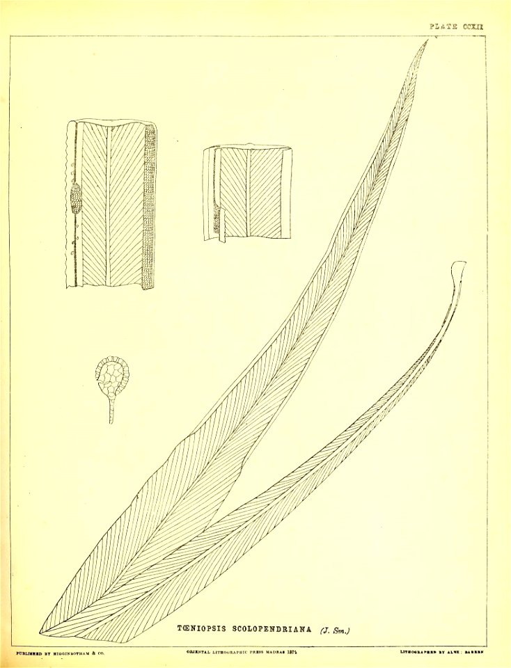 n538_w1150