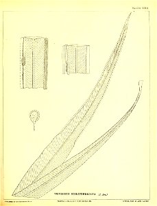 n538_w1150