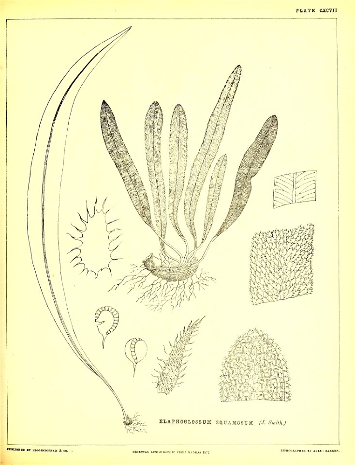 n508_w1150