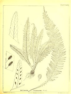 n448_w1150