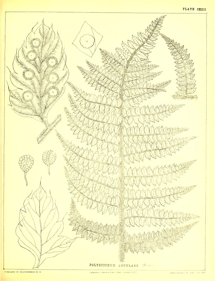 n358_w1150