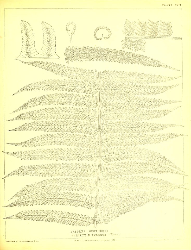 n328_w1150
