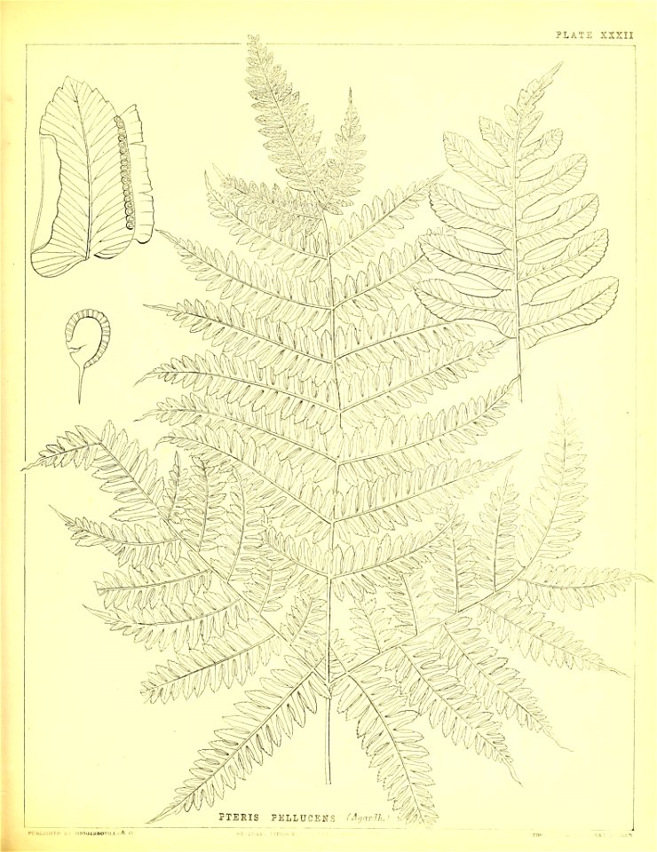 n178_w1150