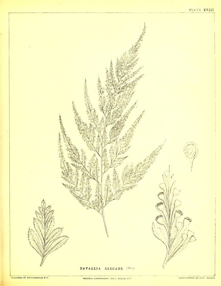 n148_w1150
