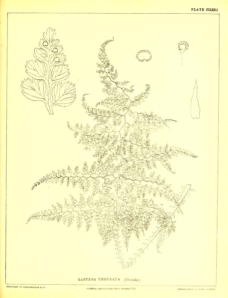 n656_w1150