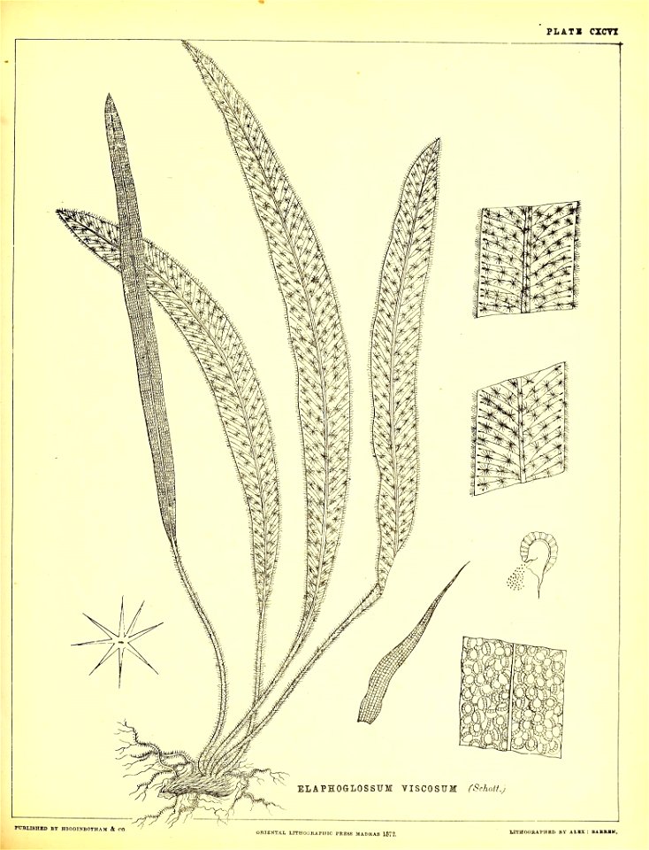 n506_w1150