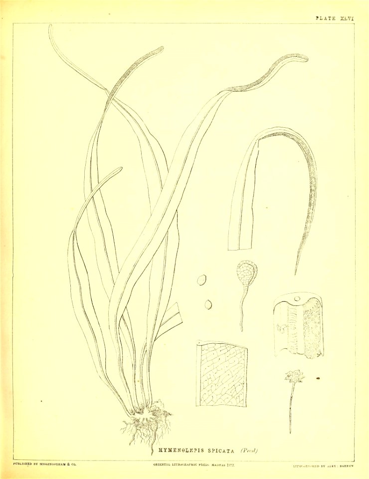 n206_w1150