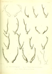n548_w1150
