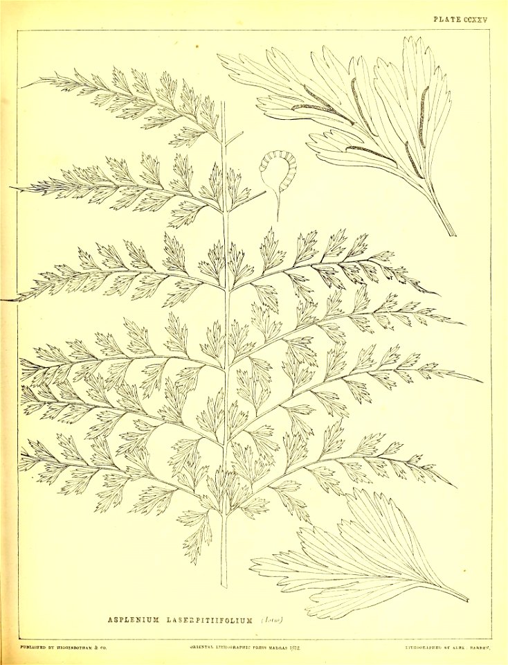 n564_w1150