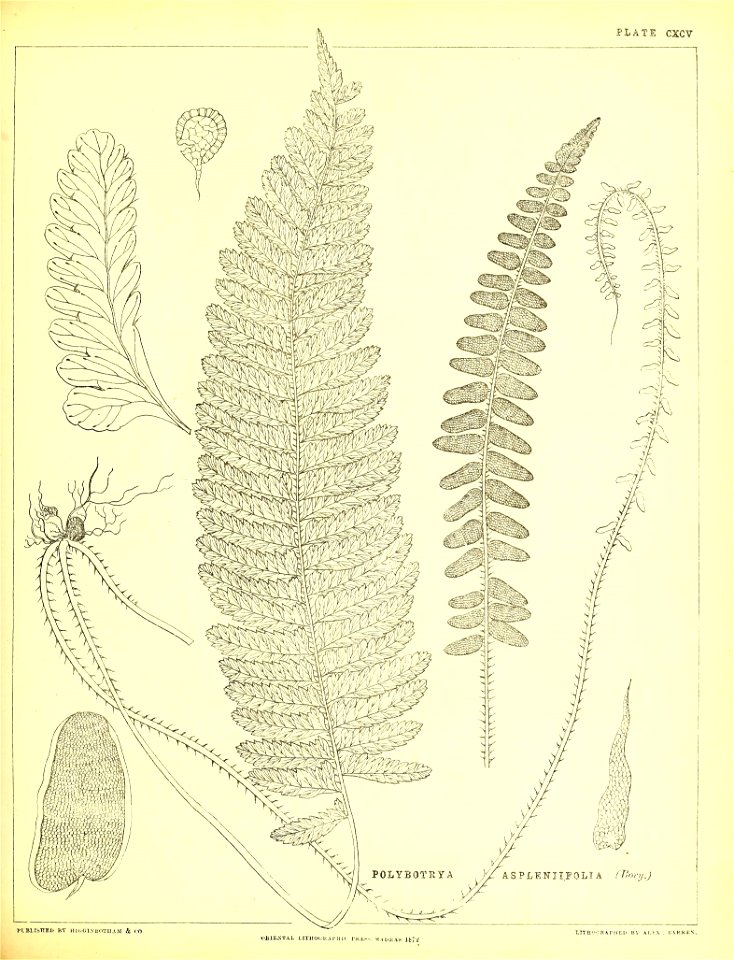 n504_w1150