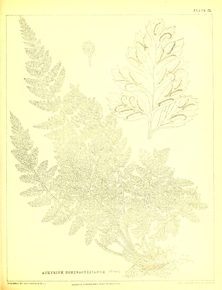 n414_w1150