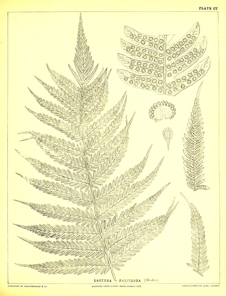 n324_w1150