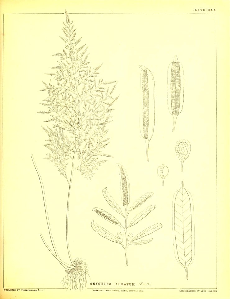 n174_w1150