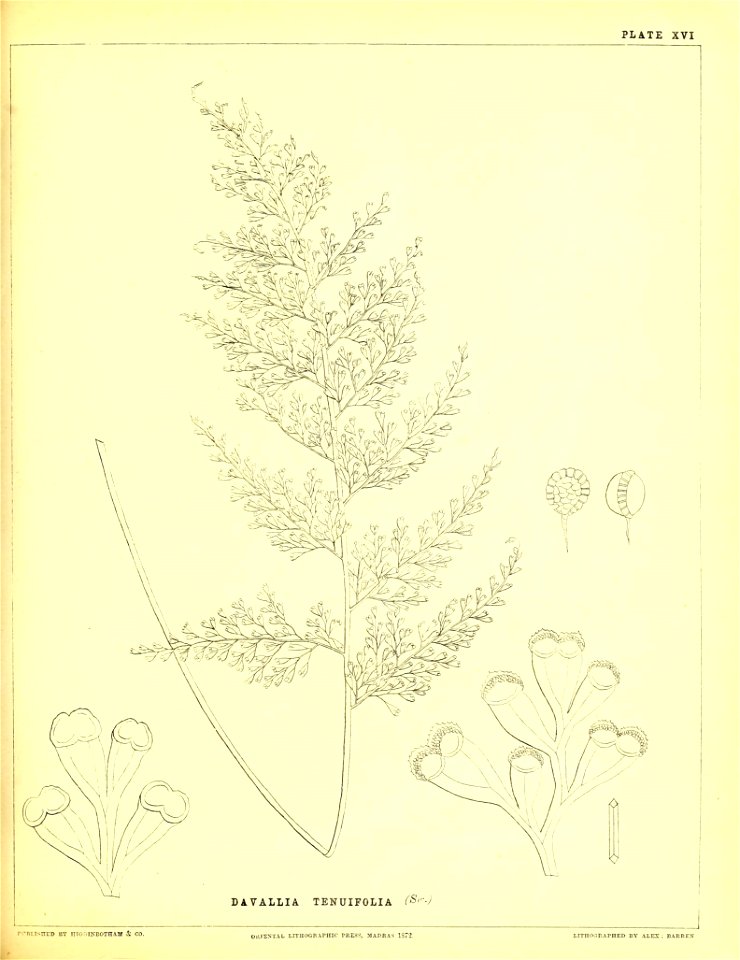 n144_w1150