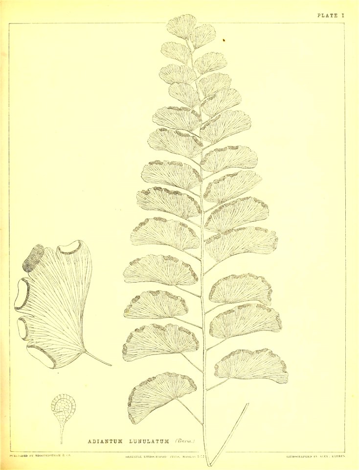 n114_w1150