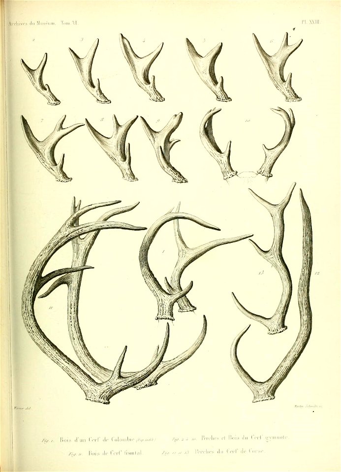 n546_w1150