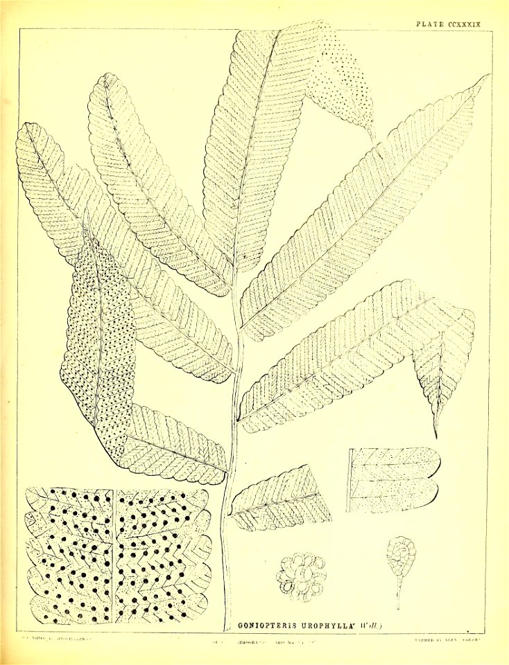 n592_w1150