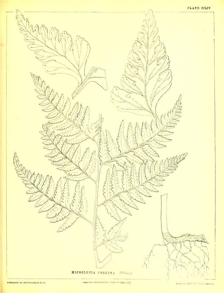 n622_w1150