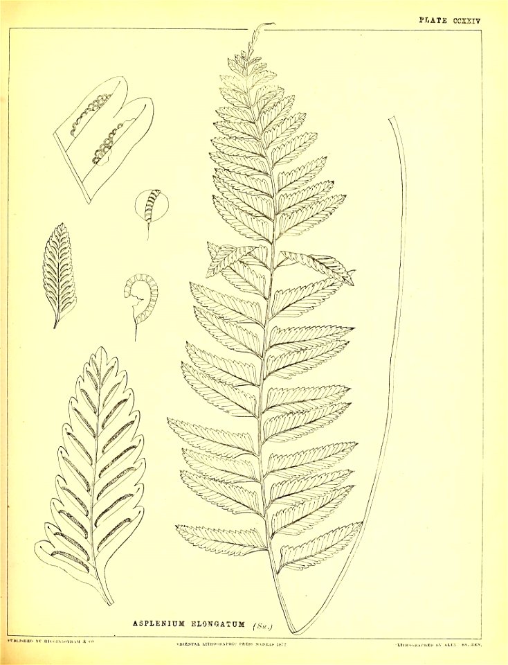 n562_w1150
