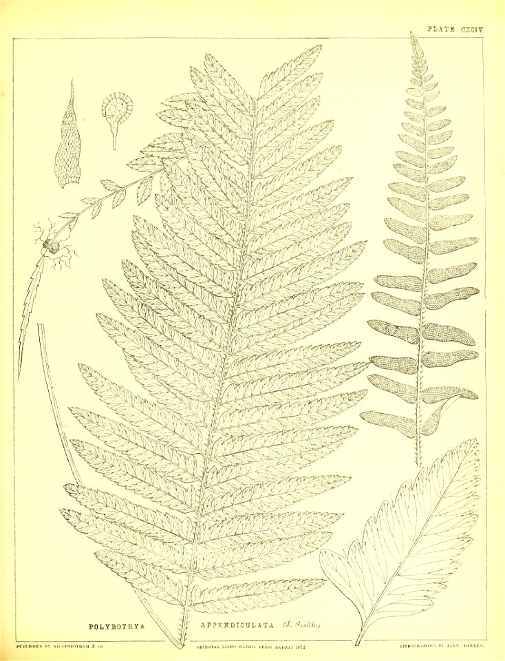 n502_w1150