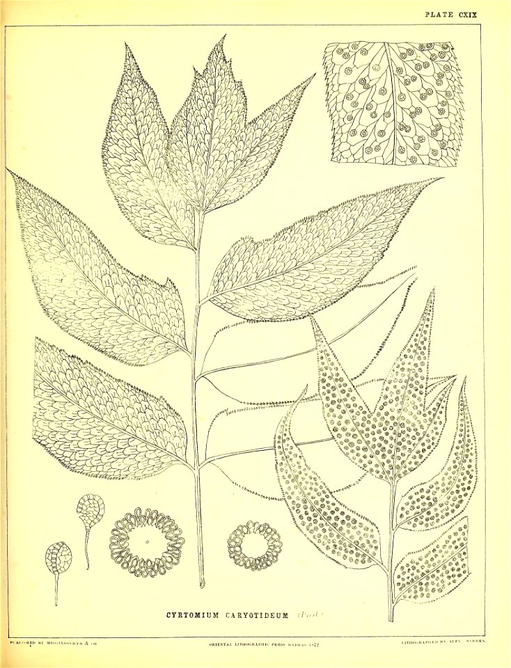 n352_w1150