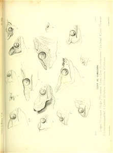 n544_w1150