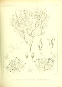 n514_w1150