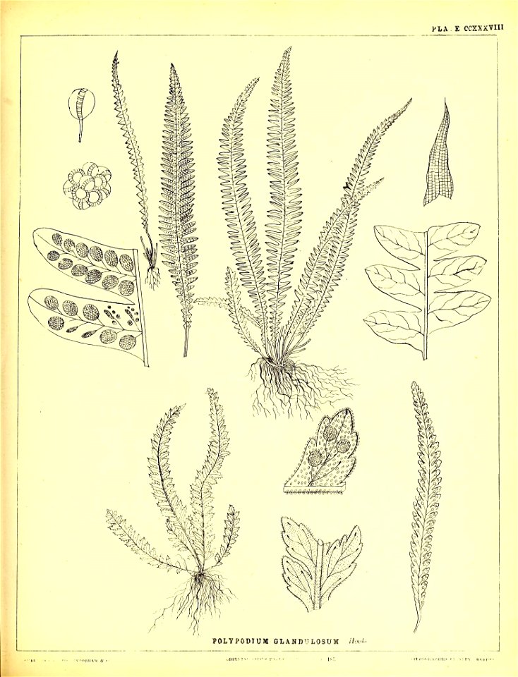 n590_w1150