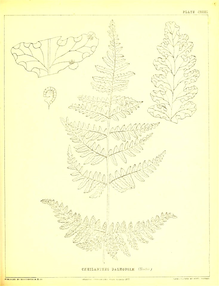 n500_w1150