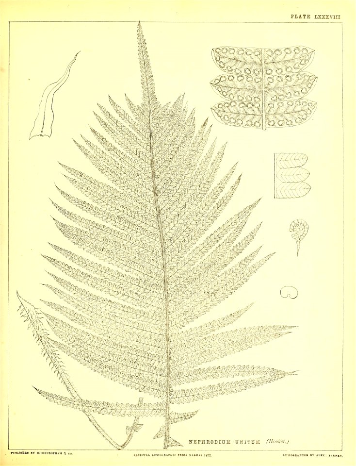n290_w1150