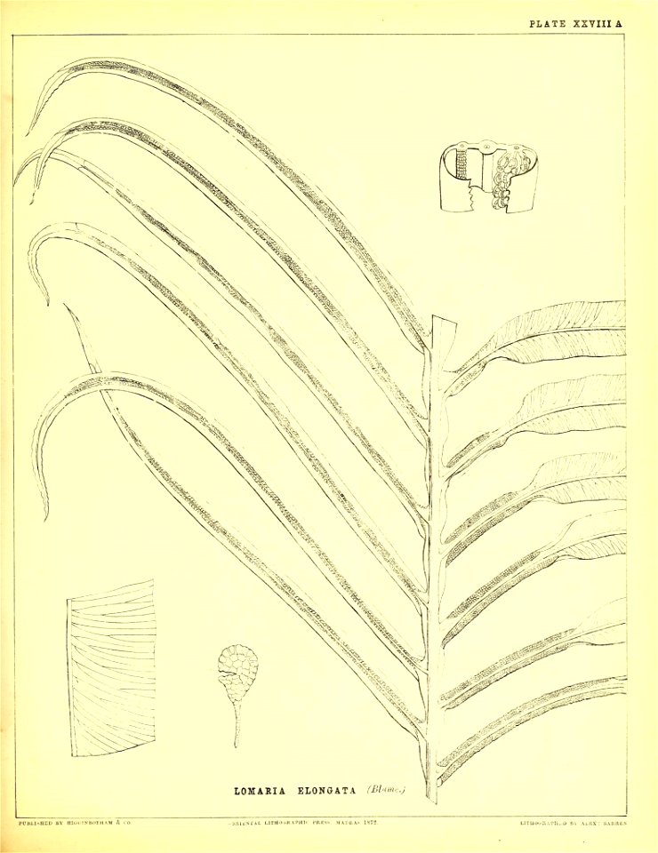 n170_w1150