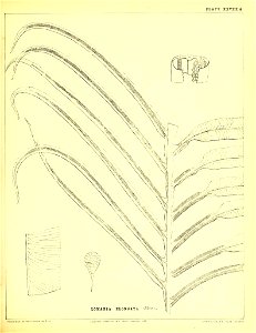 n170_w1150